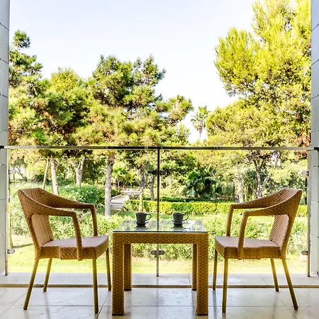 Hotel El Plantío Golf 4*