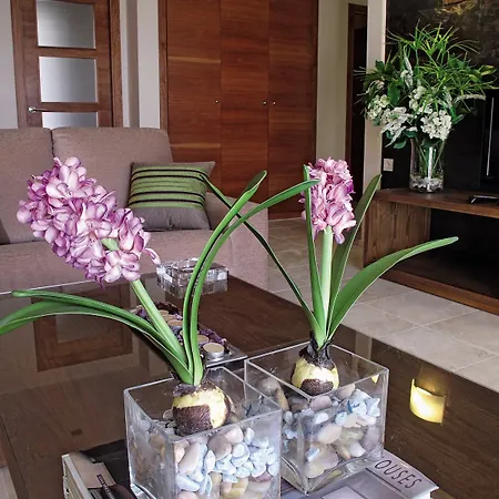 Hotel El Plantío Golf 4*